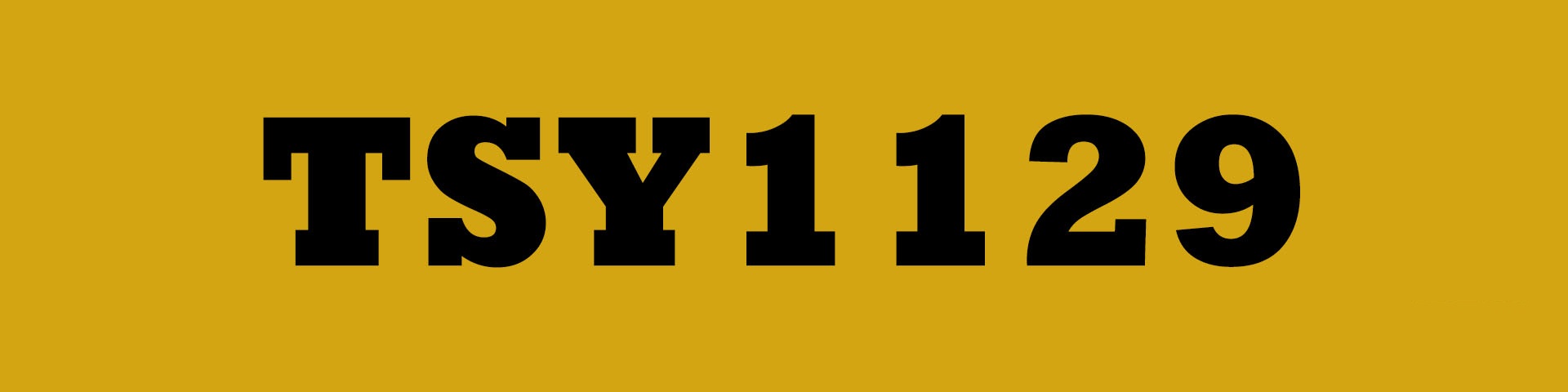 TSY1129website